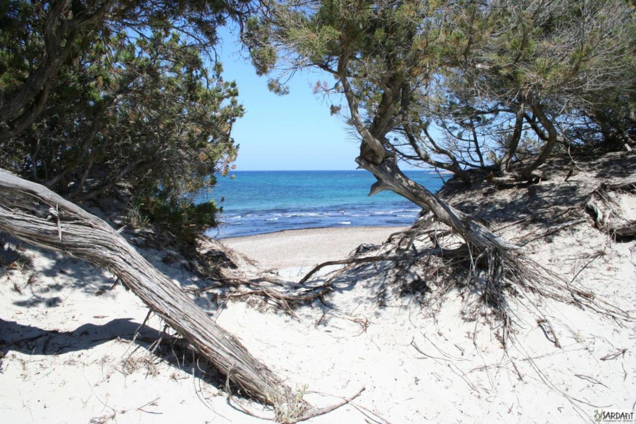 Bed & Blu Ξενοδοχείο La Caletta Εξωτερικό φωτογραφία