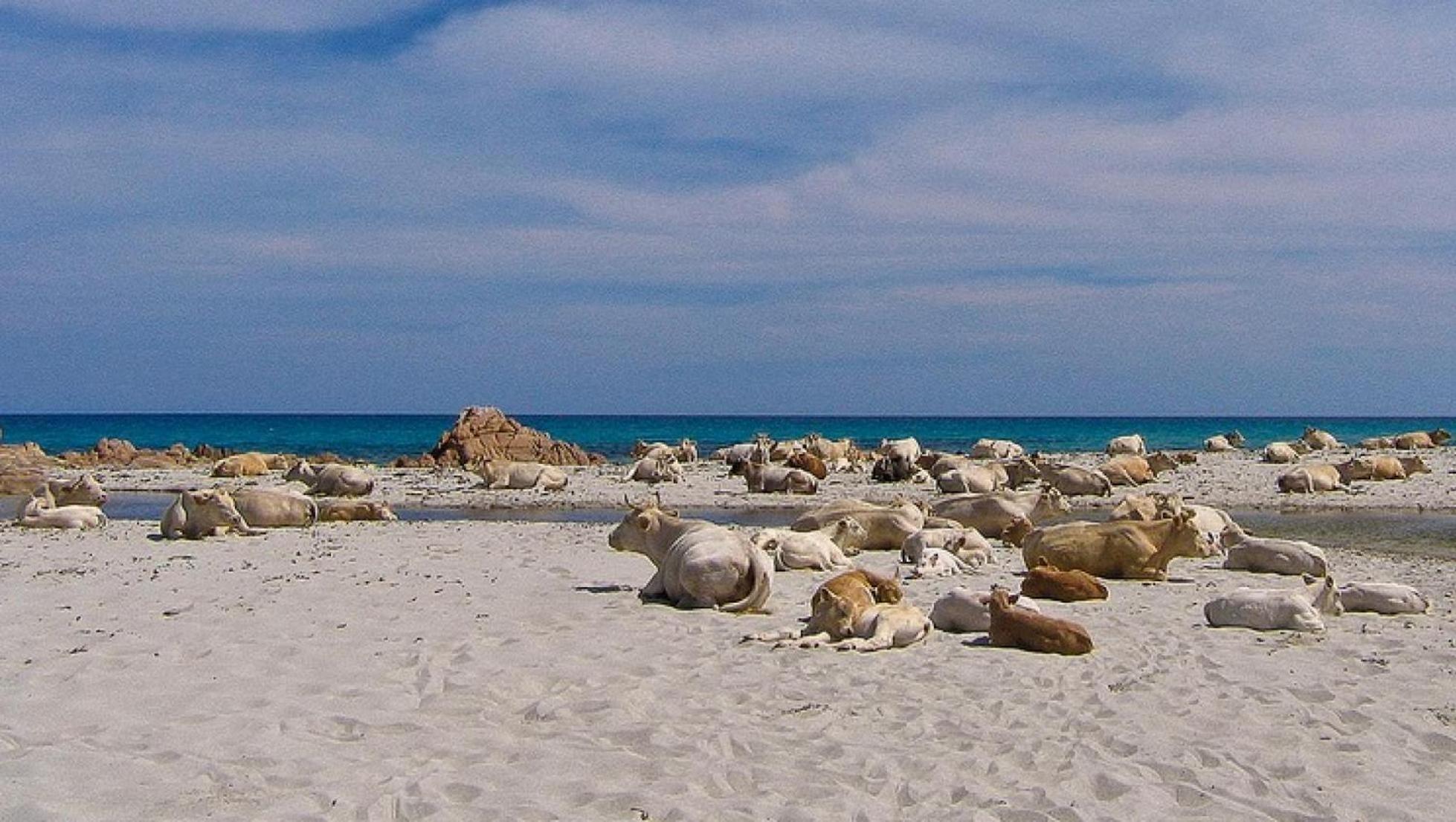 Bed & Blu Ξενοδοχείο La Caletta Εξωτερικό φωτογραφία